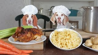 シェフドッグクックチキンヌードルスープ:Funny Dogs Maymo