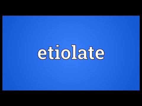 Header of etiolate