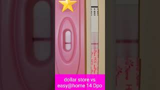 14Dpo Live Pregnancy Test