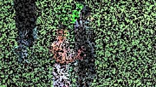 O_ReTajNwHg Video Image