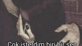 Sensizlik Gitsin Sen Gel Whatsapp Ve Instagram Üçün Qısa Video
