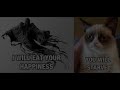 GRUMPY CAT PART 2! Best Meme / Memes Cute Cats