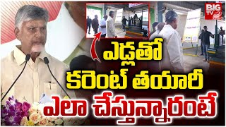 Cm Chandrababu About Nandha Gokulam Life School ఎడలత కరట తయర ఎల చసతననరట Big Tv