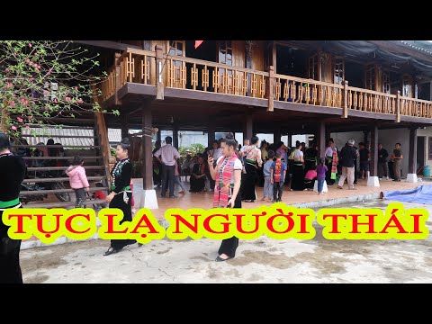 Tục lạ ( phần 2) / phong tục CÚNG BẢN dân tộc Thái - Tây Bắc // GÁI BẢN