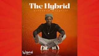 Wanzi - Mpunya Love 04 Official Audio