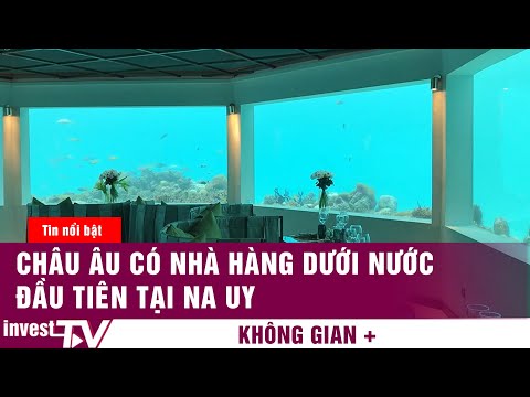 Không gian +: CHÂU ÂU CÓ NHÀ HÀNG DƯỚI NƯỚC ĐẦU TIÊN TẠI NA UY