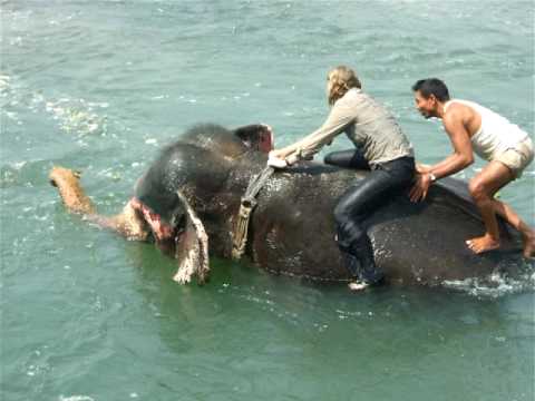 Susan's Elephant Bath