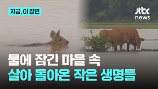 Ob2dWmcUpSs Video Image