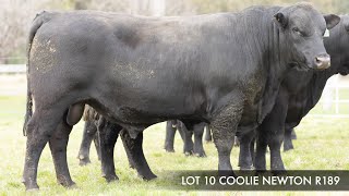 Lot 10 Coolie Newton R189