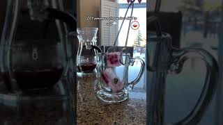 How To Make Diy Pomegranate Tea