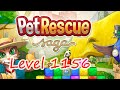 Pet Rescue Saga Level 1156 (NO BOOSTERS)