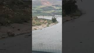 Yaban Tavşanı