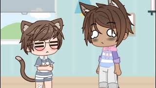 Atchim Meme Animals Au