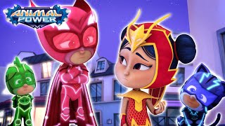 Pj Masks The Power Of Mystery Mountain Full Episodes Season 5 New Kids Show Animation