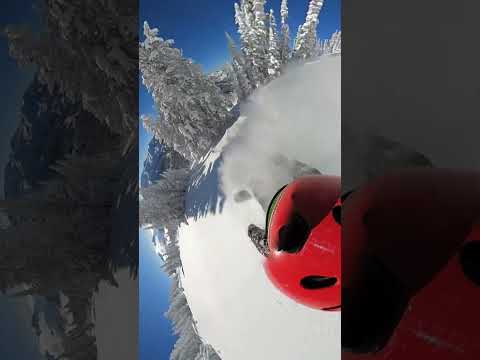 BLUE BIRD DAY SNOWBOARDING UNTOUCHED POWDER GOPRO MAX 360 #SHORTS