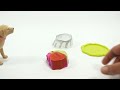 gak