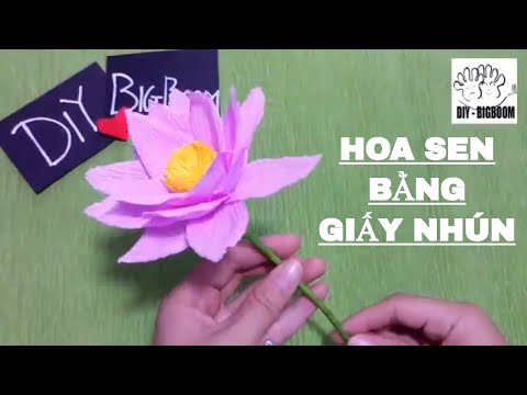 Hướng dẫn cách tự làm Hoa Sen bằng giấy nhún ❀ DiyBigBoom-VN