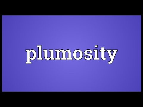 Header of plumosity