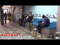 Видео В Иркутске открыли первый кошачий публичный дом