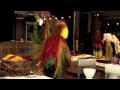 Watching video Seattle Art Museum: Nick Cave, In the Classroom
