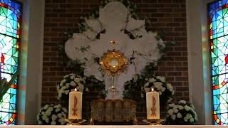 Saturday 30th May - Exposition: The Dead & Anniversaries of the Deceased followed by Mass