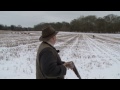 Fieldsports Britain - Driven pheasant shooting + gundog training