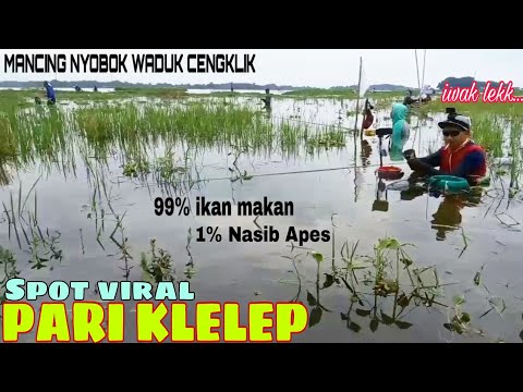 STRIKE❗Mancing Nyobok Umpan Lumut || Mancing Waduk Cengklik || Waduk Cengklik Terbaru