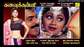 Meena Meena Nee Enna - Kanavu Kanni 1996