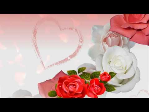 Chúc mừng ngày 20 tháng 10