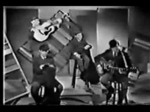 The Cowsills - The Rain, The Park And Other Things.avi