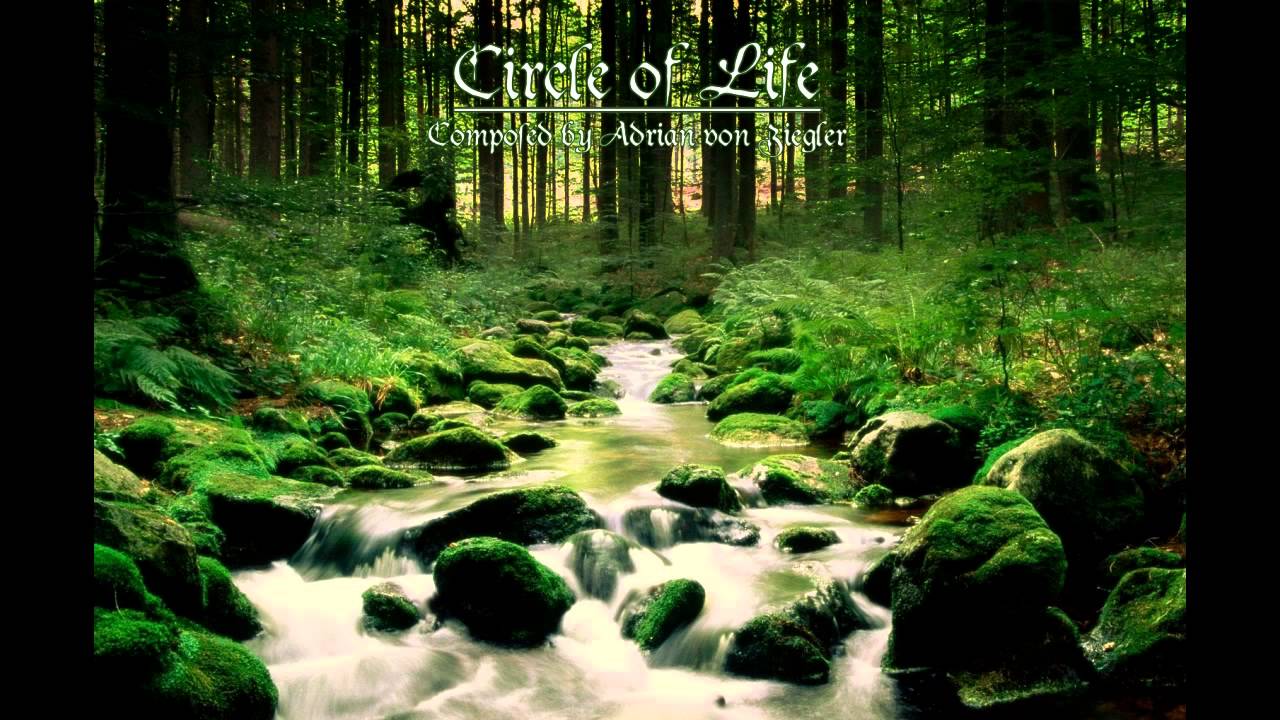 Circle of Life