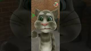 Old Version Talking Tom 2010 To 2016 My Talking Tom
