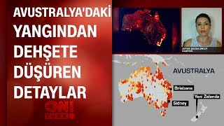 Avustralya'daki yangında son durum! Türk gazeteci anlattı