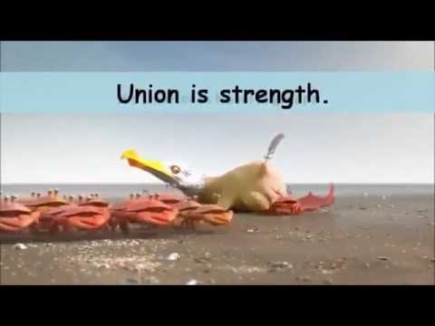 How To Get Paid For Advertising On Facebook the power of union is strength crabs vs ants vs penguins How To Get Paid For Advertising On Facebook the power of union is strength crabs vs ants vs penguins
