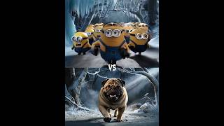 Minions Vs Pug Vs German Shepherd, Rottweiler, Pitbull, Battle.
