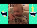 TRY NOT TO LAUGH - FUNNY ANIMALS | Funny Videos February 2019