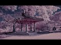 Chinese Techno Music - 2012 - Sebastian Rogers aka DJ ZYX - For Asia - 中国のメロディー