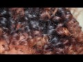 Springy Spiral Curls With Flexi Rods | Natural Hair