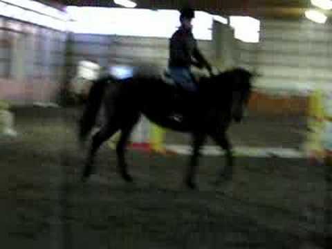 Rearing Horse Tattoos. Rearing Horse on Command!