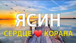 Сура Ясин Слушать Каждый День!