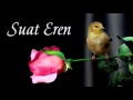 Esme Deli Rüzgar - Yeni Fragman