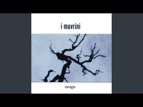 Imagini Video