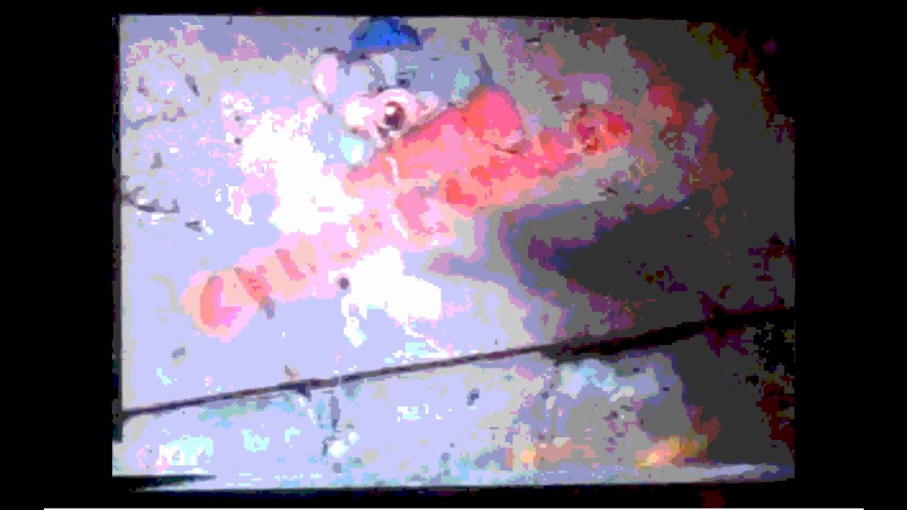 Opening to Rolie Polie Olie: Olie's Storybook 2000 VHS - YouTube