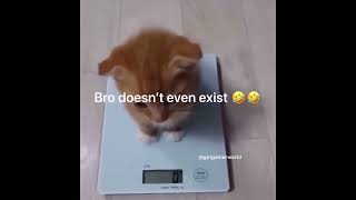 Bro Doesnt Even Exist