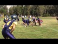 TOROS CELAYA