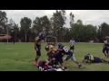 TOROS CELAYA