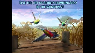 Hummingbird Simulator 3D Gameplay Video Androidios