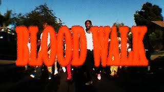 Watch Yg Blood Walk feat Lil Wayne  D3szn video