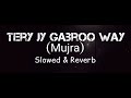Tera jy Gabru way  Mujra Slow And Reverb Song🎧