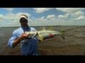 Wading For Treasure TROUT & SNOOK fishing default Wading For Treasure TROUT & SNOOK fishing